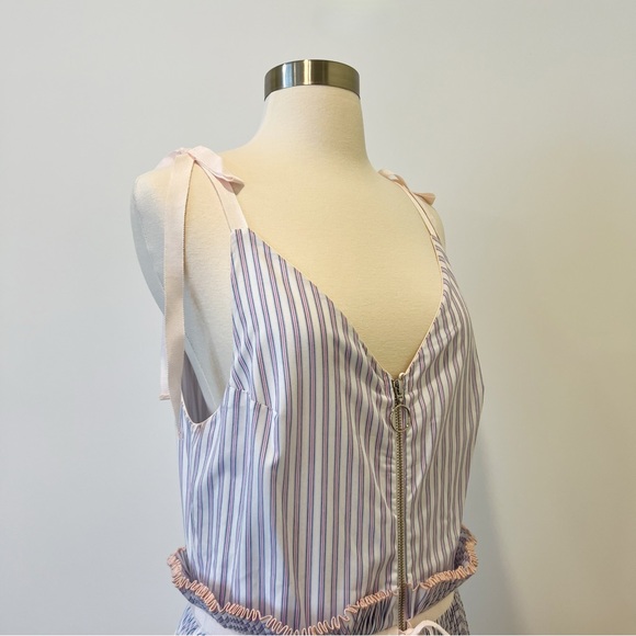 NWT Adam Selman Spring Affair Pleated Tank Dress Blush Striped Midi A-Line Sz 6 - Picture 4 of 7